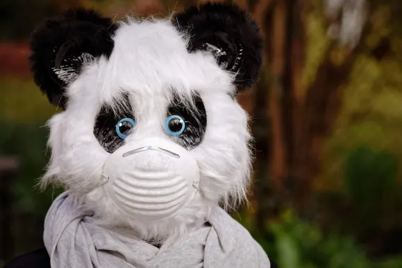 ΣίλβερΠλέι Καζίνο Υποστηριξη